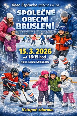 Společné bruslení
